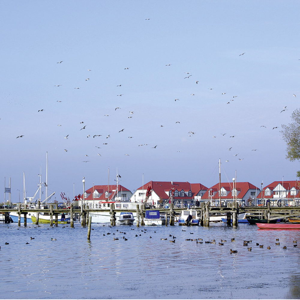 02_ostsee-hafen-rerik