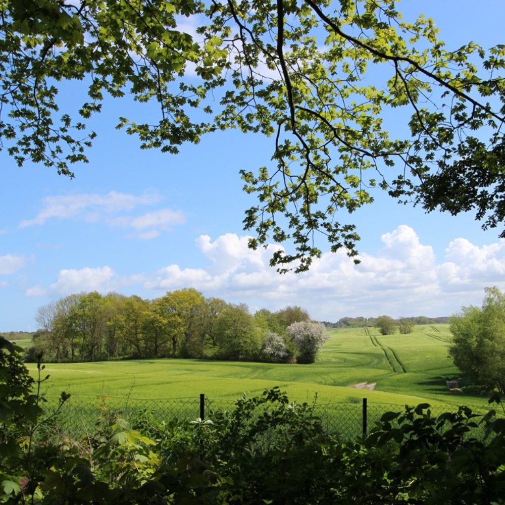 12_Haus_Ingrid_Ferienwohnung_1_blick_IMG_1312