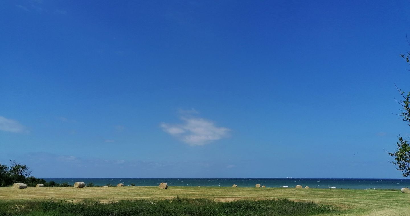 WHG_Seeadler_14769