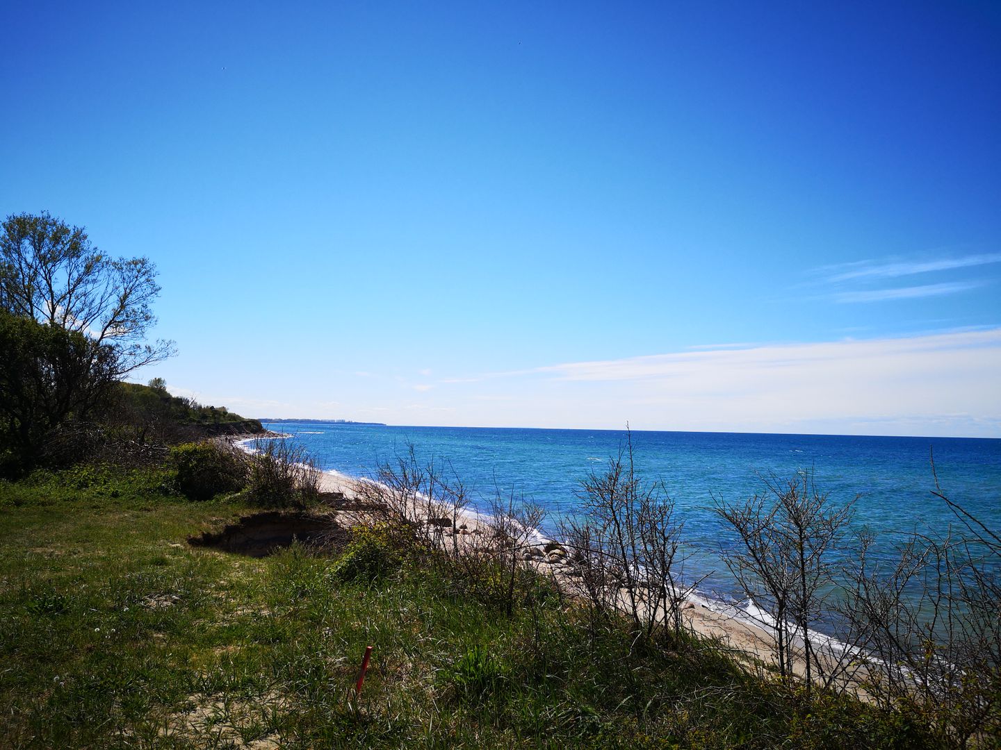 WHG_Seefalke_14645
