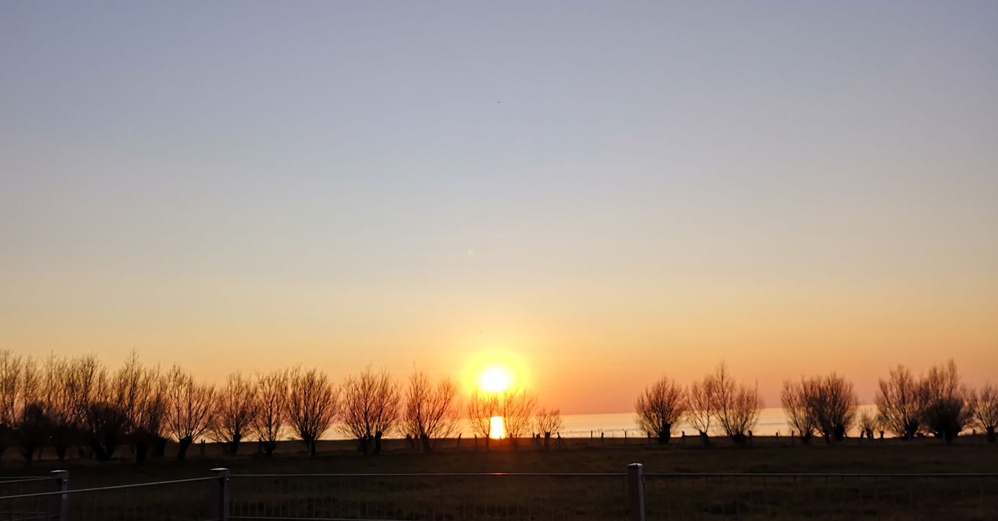 WHG_Seefalke_14652