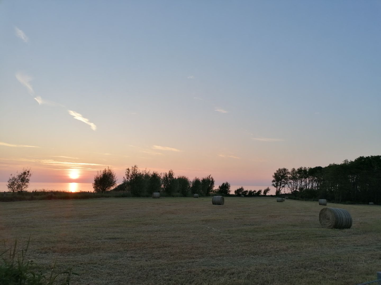 WHG_Seefalke_14653
