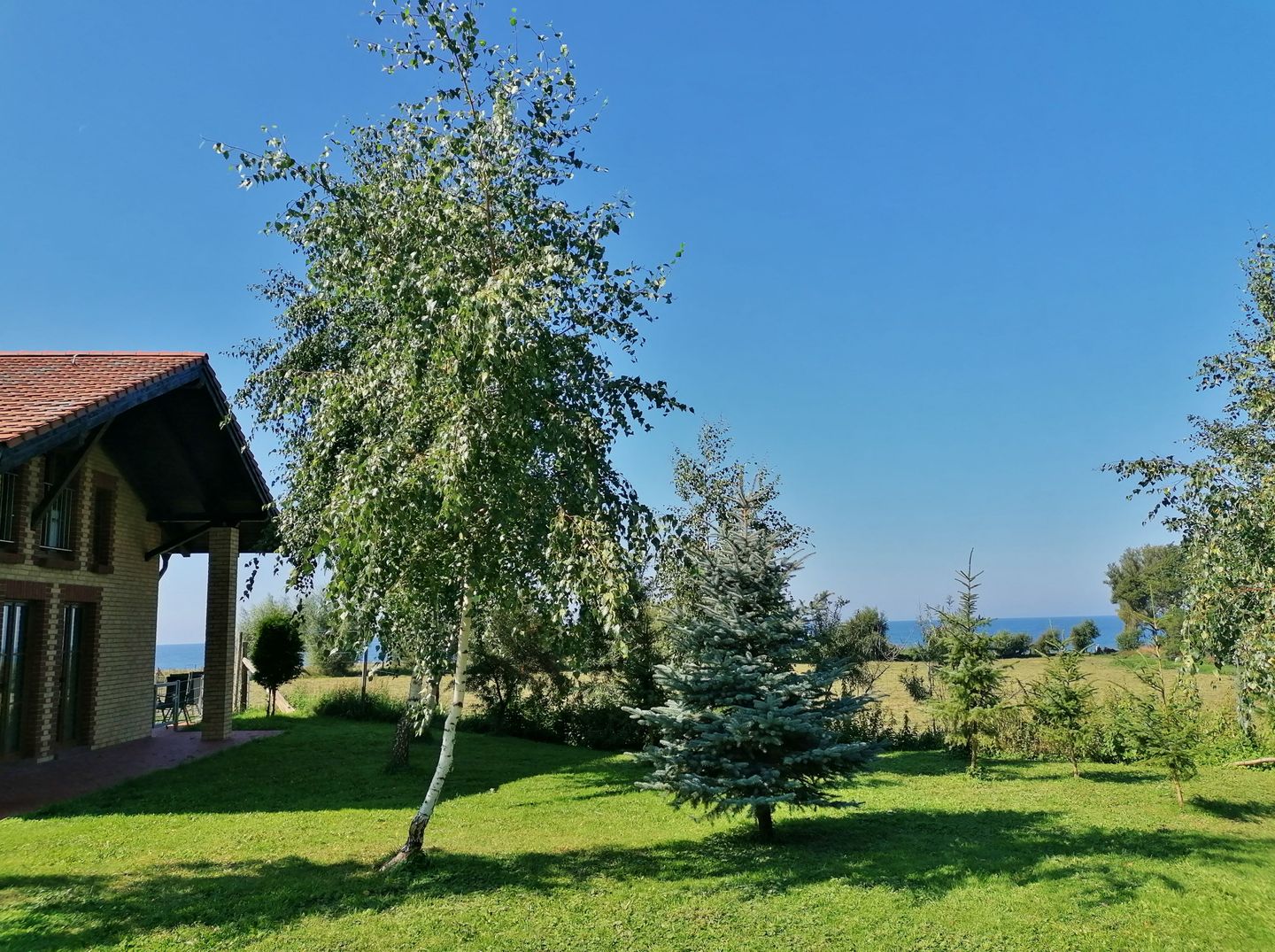 WHG_Seefalke_14688