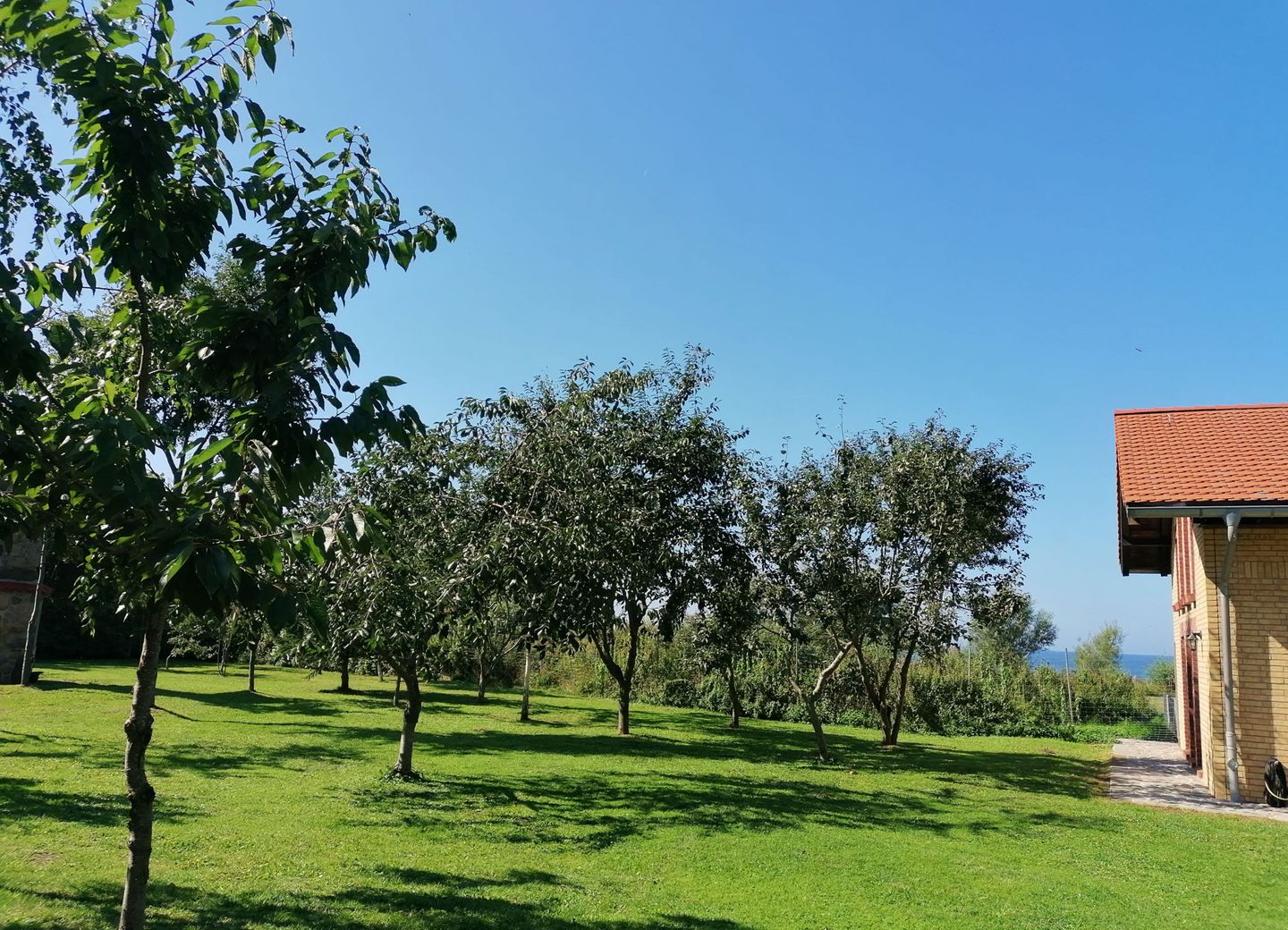 WHG_Seefalke_14689