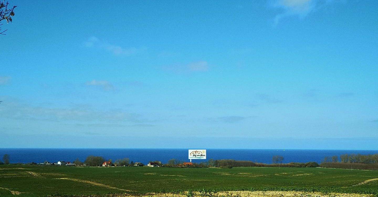 WHG_Seemöwe_14293266