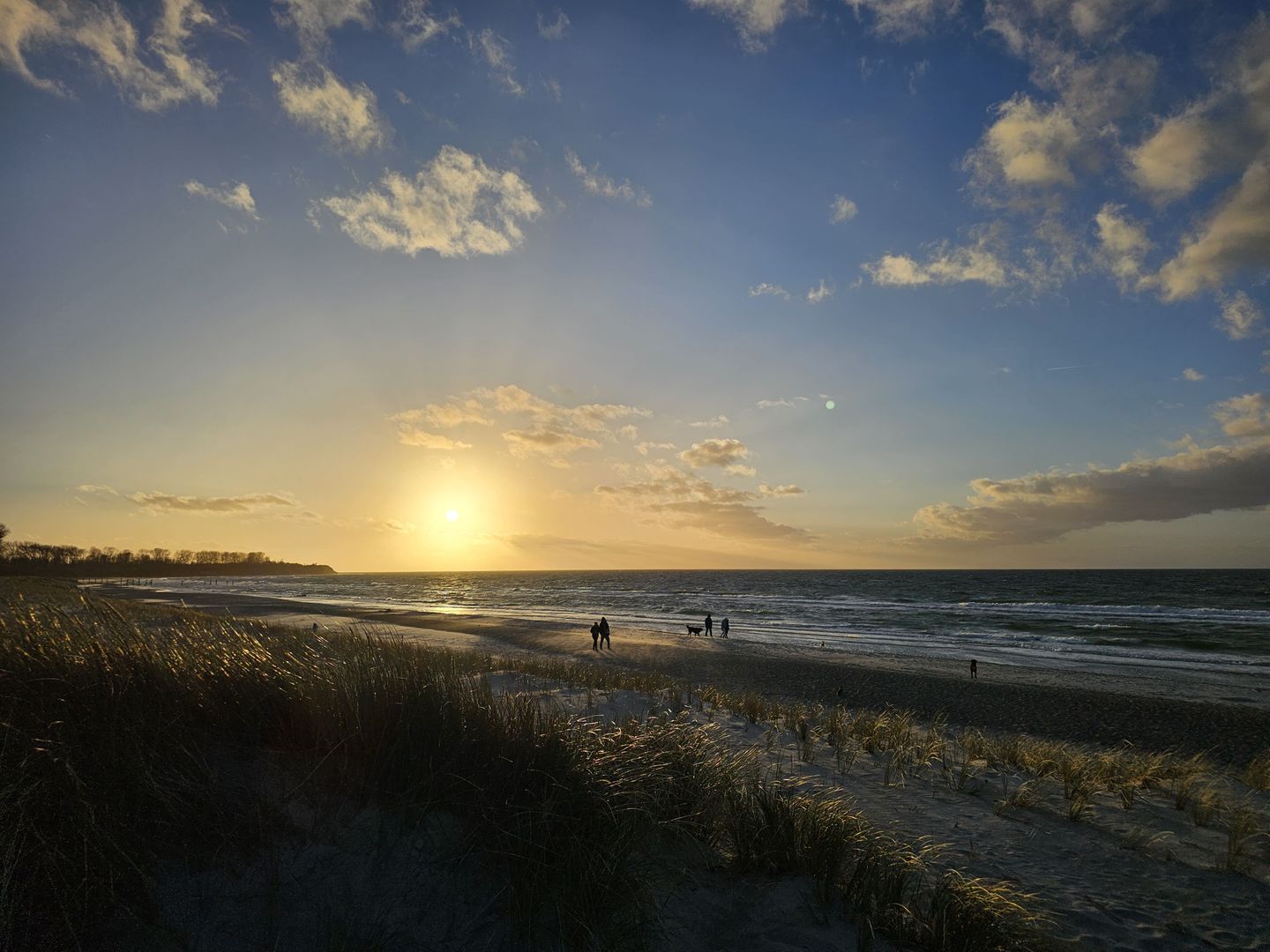 FH_Meeresbride_21839640